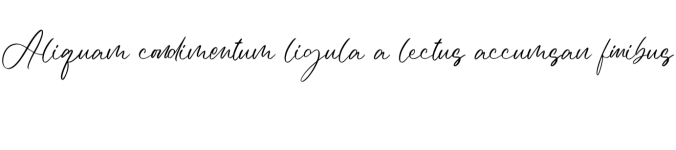 Feminista Font Preview