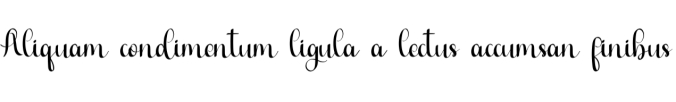 Single Font Preview