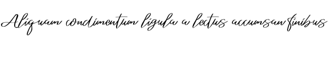 Abelard Font Preview