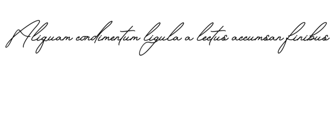Betriciya Signature Font Preview