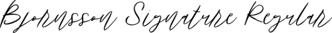 Bjornsson Signature Font Preview