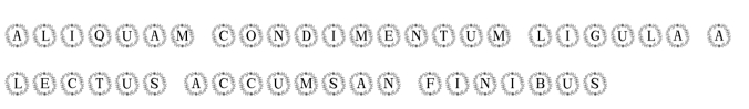 Monogram Circle Floral Font Preview