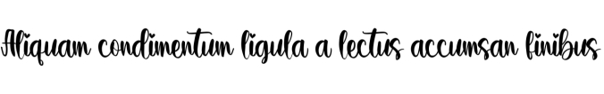 Tequila Font Preview