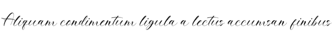 Royalina Font Preview