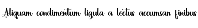 Ligature of Calligraphy Font Preview