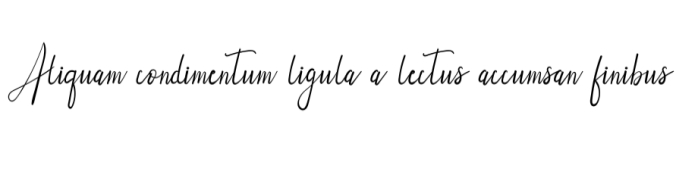 Orlando Font Preview