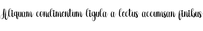Special Wedding Font Preview