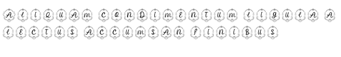 Starsea Monogram Font Preview
