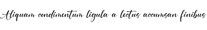 Magnefida Font Preview