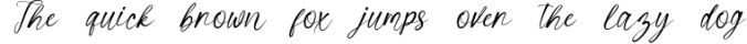 Butterfly Script Font Preview