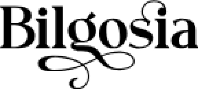 Bilgosia Serif Font Preview