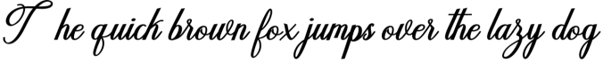 Delightful Script Font Preview