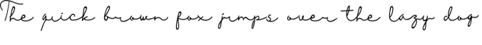 Magnus Carlsen Font Preview