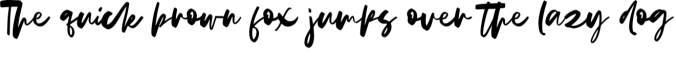 Luisa Script Font Preview
