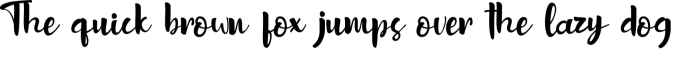 Sottel Script Font Preview