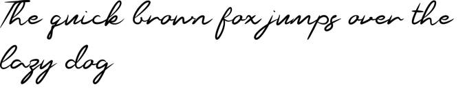 Raceer Font Preview