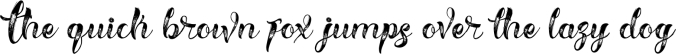 Hellvina Hand Script Font Preview