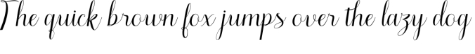 Amellya Script Font Preview
