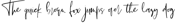 Palm Beach Script Font Preview