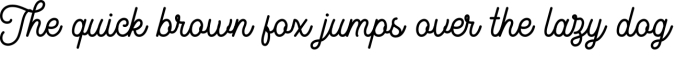 Kingbirds Script Font Preview
