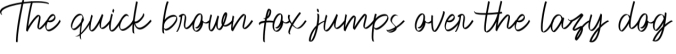Feeling Signature Font Preview