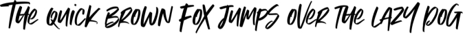 Broady Duo Font Preview