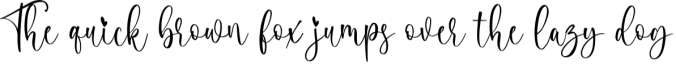 Camerline Font Preview