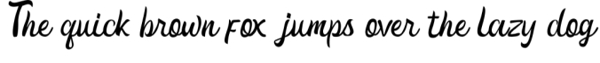 Sunday Night Script Font Preview