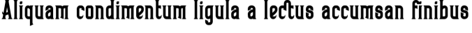 Barstagle Font Preview