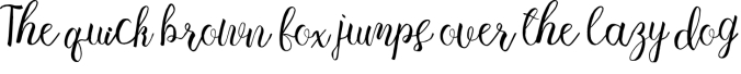 Wonderful Script Font Preview