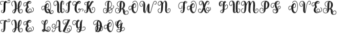 Aicy Monogram Curly Font Preview