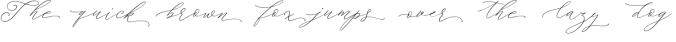 Morning Tea Script Font Preview