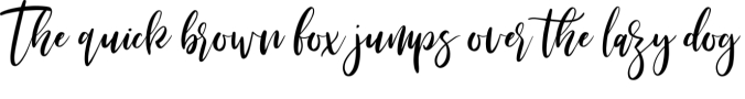 Michelles Script Font Preview