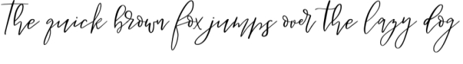 Besotted Script Font Preview