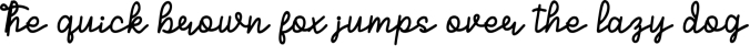 Sintessy Monoline Font Font Preview