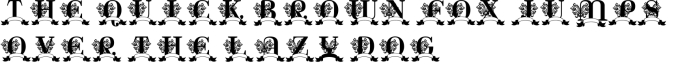 Charlie Monogram Font Preview
