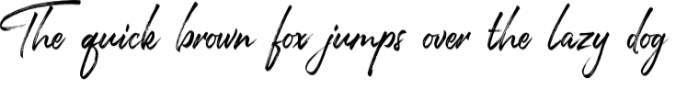 Joyful Script Font Preview