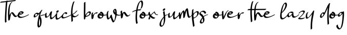 Landing Surely Font Preview