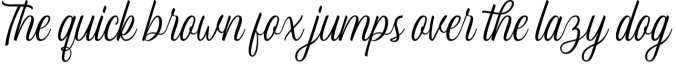 Lucy Carter Script Font Preview