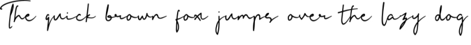 Leslies Script Font Preview