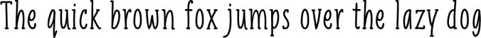 Liniga Serif Font Preview
