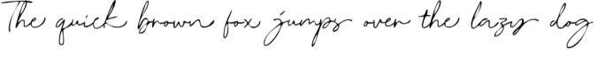 Dorothy Clark Script Font Preview
