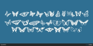 Butterflies Font Download