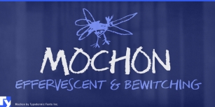 Mochon Font Download