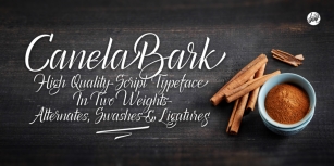 Canela Bark Font Download