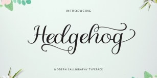 Hedgehog Font Download