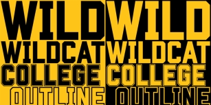 Wildcat Font Download