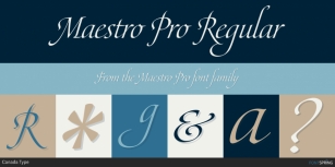 Maestro Pro Font Download