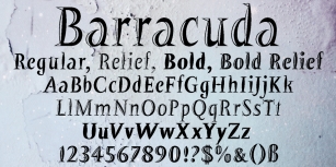Barracuda Font Download