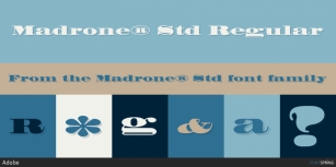 Madrone Std Font Download